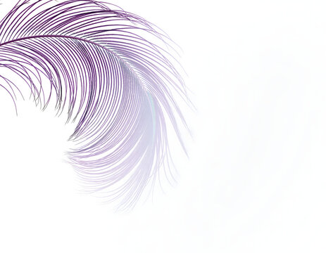 左上にアメジストの孔雀の羽根が優雅に広がるミニマル背景（実験枠） / Amethyst Peacock Feather Corner Accent Background