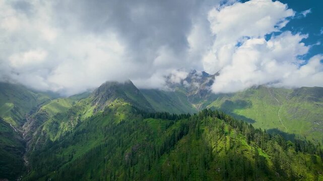 Drone pullback reveal moving backwards from dense Deodar pine slopes to expose the vast sunlit mountain valley near Tosh and Kheerganga, India.