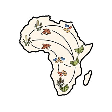 Map of Africa illustrating agricultural food trade and crop distribution