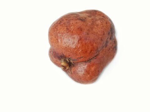 Ripe brown sapodilla fruit isolated on white.