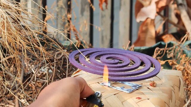 Asian man lighting a mosquito coil near dry plants around the home during the dry season to help control mosquitoes and protect the household from mosquito bites and health risks.