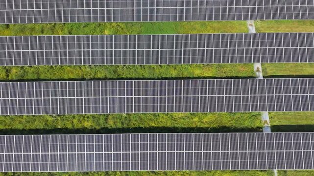 Drone establishing shot looking down over the parallel rows of a solar farm, with a narrow service path crossing the tall grass between the photovoltaic arrays.