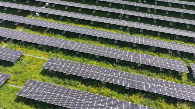 Stunning bird's eye above the receding rows of a solar farm, with tall overgrown grass and weeds growing under the mounted photovoltaic panels on a summer afternoon.