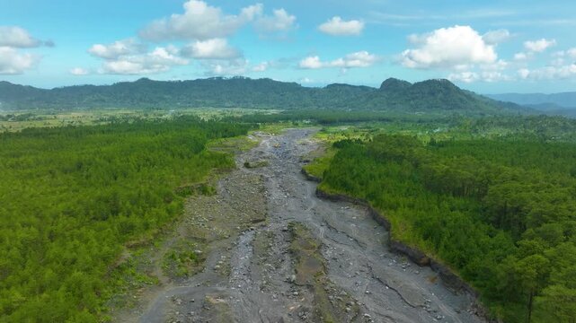 Aerial view of a solidified lava channel cutting through green forest near Semeru volcano