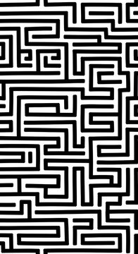 Abstract black and white labyrinth pattern, geometric maze design, complex pathways, graphic background.