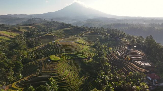 Drone descending with the camera tilting upwards over ricefields on a mountain with a vulcano in the background in 4k