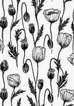 Black and White Botanical Pattern: Delicate Poppy Flowers and Seed Pods, Artistic Floral Illustration, Nature Background