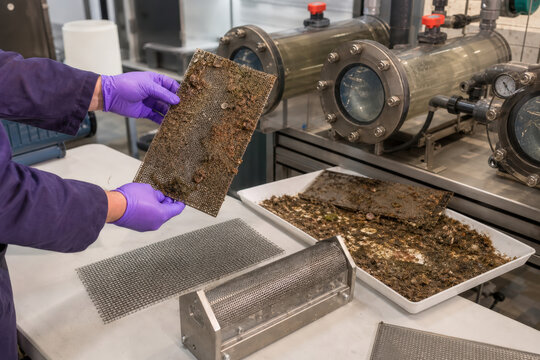 Desalination Intake Biofouling Sample Review for Reliable Seawater Treatment Operations