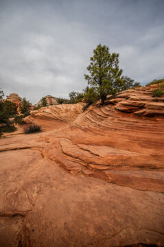 Vertical travel banner of Zion national park