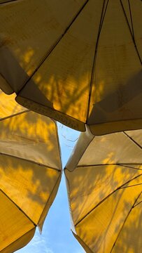 yellow umbrella