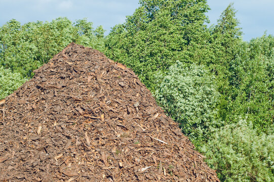 The photo shows wood chips against a backdrop of blue sky and green trees