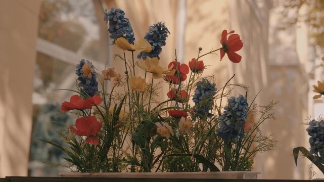 Flowers growing in pots and decorating cafes, offices, and homes. Street flowers in an urban environment.
