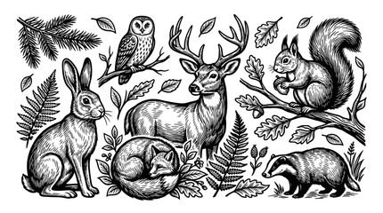 Fototapeta premium Woodcut style illustration of woodland animals including a deer, rabbit, owl, squirrel, sleeping fox, and badger with forest flora like ferns, oak leaves, and pine needles on white.