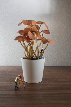 Miniature Surveyor Figures Measuring White Potted Plant