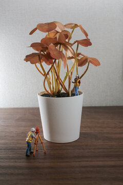 Miniature Surveyor Figures Measuring White Potted Plant