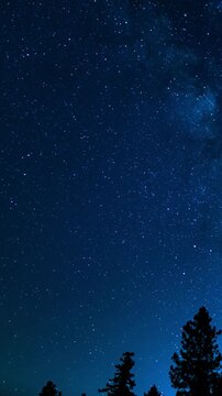 Vertical Milky Way Galaxy July South Night Sky Above Trees Palomar Mountain San Diego California Time Lapse Astrophotography
