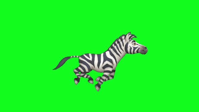 Cartoon zebra running animation on green screen