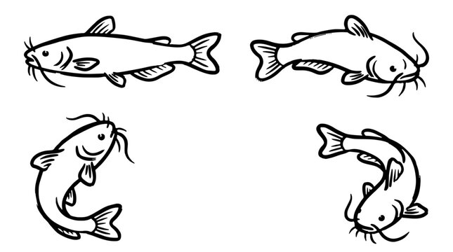 Black and white catfish sketch icons vector set