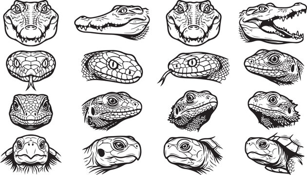 Collection of black silhouettes showing heads of various reptiles including crocodiles, snakes, lizards, and turtles on white background
