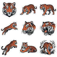 Obraz premium Set of tiger vector illustrations in various poses including roaring, pouncing, and stalking