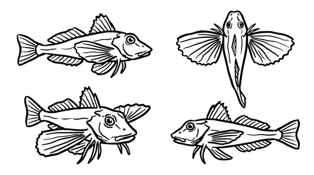 Black and white hand drawn fish sketch set