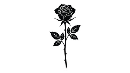 Fototapeta premium Elegant black rose vector graphic illustration showing detailed petals and sharp thorns on long stem