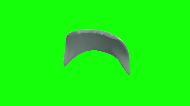 Tendon of Right Levator Palpebrae Superioris Rotation Green Screen CC BY