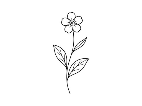 Simple line drawing of a white flower with green leaves