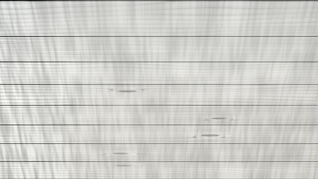White wooden planks with shadow texture