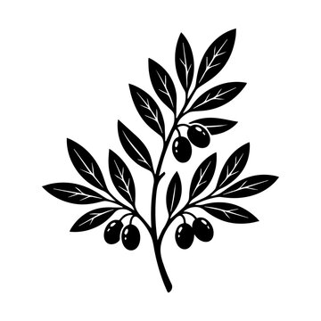 Olive branch vector illustration with leaves and black olives on white background