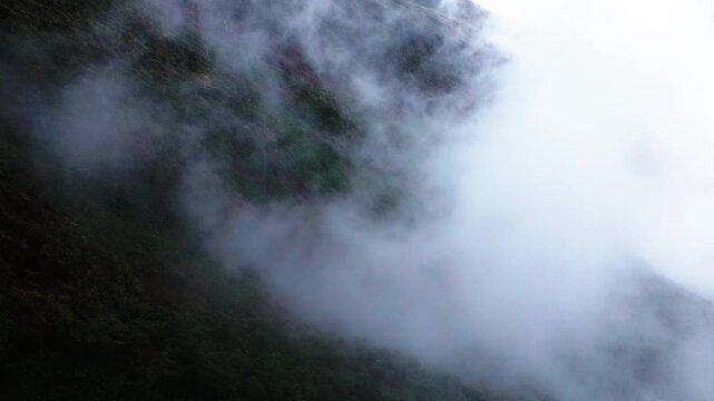 Low Clouds Drifting Across Tropical Mountain Forest in Ecuador, Misty Green Slopes and Remote Andean Cloud Forest Nature Background