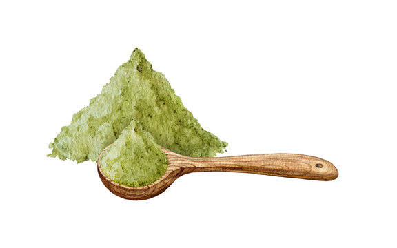 Matcha powder with a wooden measuring spoon isolated. Hand painted matcha watercolor illustration for tea packaging, wellness branding, Japanese-inspired products, labels and natural beverage design.