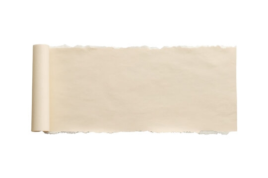 Long blank cream parchment scroll