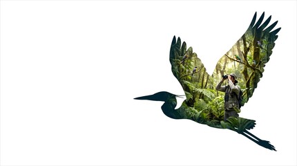 Fototapeta premium Conceptual Flying Bird Silhouette with Ornithologist for Conservation