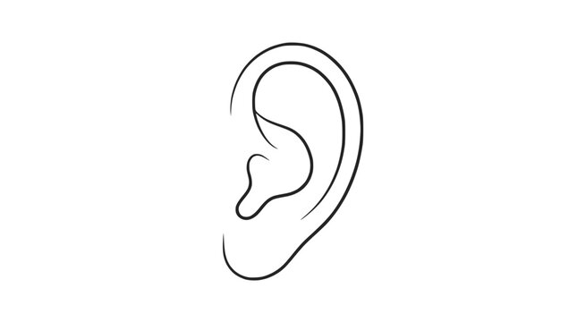 Isolated Outline Drawing of Human Ear