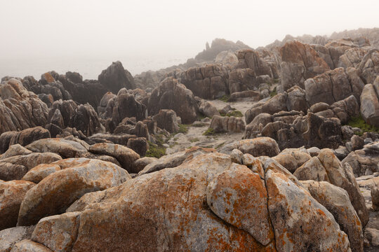 moody landscape of rock formations in sunrise fog, DeKelders, South Africa