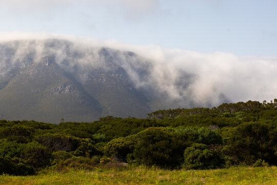 heavy fog embracing and descending mountain top, Gansbaai, South Africa
