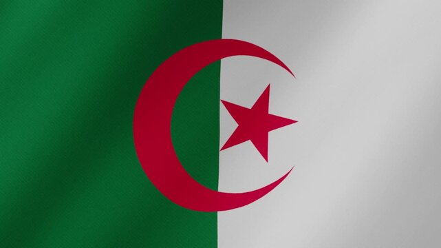 Algerian national flag waving in the wind