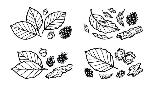 Autumn Elements Collage: A collection of hand-drawn illustrations depicting autumn elements such as leaves, acorns, pine cones, and bark, arranged in four distinct quadrants.