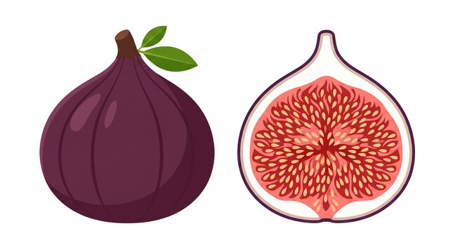 Whole and halved ripe fig with green leaves and stem illustration PNG Isolated on transparent background