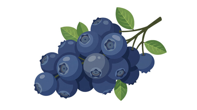 Fresh Blueberries on a Stem with Green Leaves Healthy Fruit Illustration PNG Isolated on transparent background