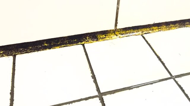 Silicone with mold in the bathroom.