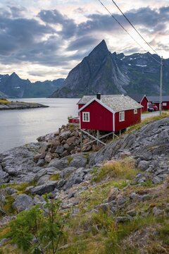 Traditional red stilt houses, typical fishermen huts, Reine, Lofoten, Nordland, Norway