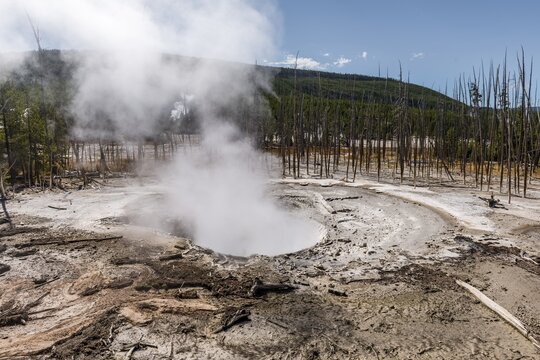 Geysir, Norris Back Basin, hot spring with mineral deposits, Noris Geyser Basin, Yellowstone National Park, Wyoming, USA