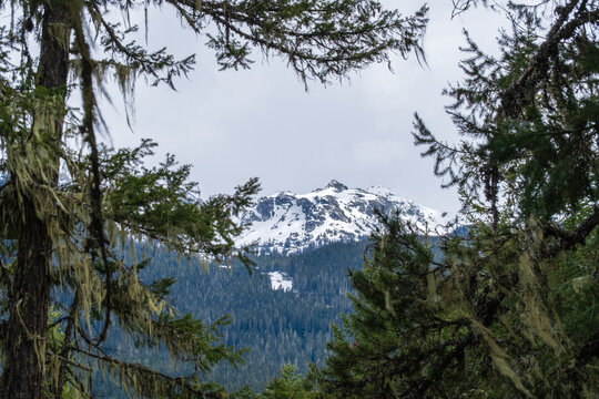 Views of Whistler and Blackcomb mountains from Lost Lake