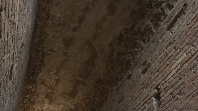 Rough vaulted ceiling and side walls of an old brick passageway fill the frame in a tight upward view.