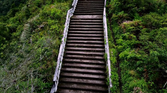 Aerial View of Wooden Stairway on Green Hillside in Quito Ecuador, El Panecillo Landmark Trail, Dense Vegetation and High Altitude Urban Nature Scene