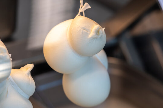 Scamorza (or a closely related pasta filata stretched-curd cheese like Provola or Caciocavallo), a traditional southern Italian cheese