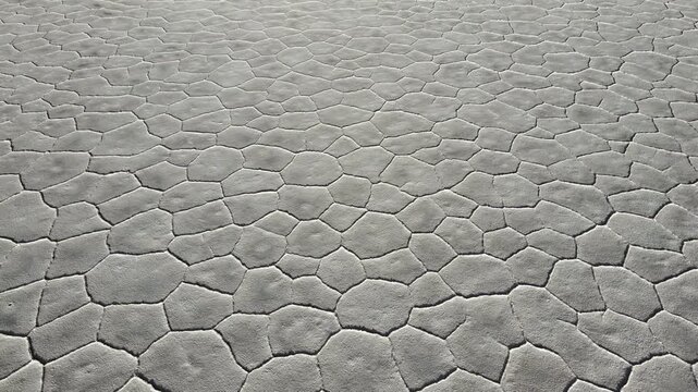 Cracked salt polygons create a repeating pattern across the Salinas Grandes salt flat in Jujuy, Argentina, forming an abstract natural background for travel or nature projects.