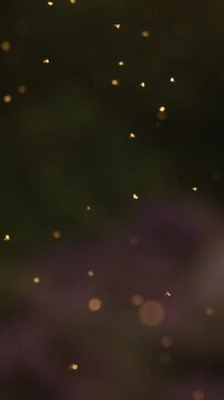 Tiny airborne sparkling firefly bug particles glowing in warm evening light against blurred purple heather background, vertical backdrop